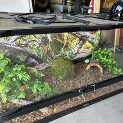 40 Gallon Reptile Tank 