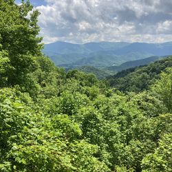 1912 Brunswick-Balke-Collender Co. table