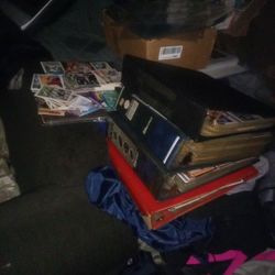 Sports Cards Collectibles 