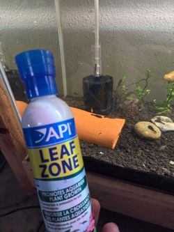 Leaf zone for plecos