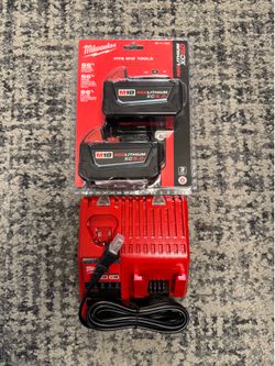 Milwaukee Battery & Charger