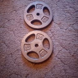 25 Lb Barbell Plates