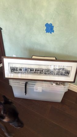 Framed Panoramic picture beauty pagent