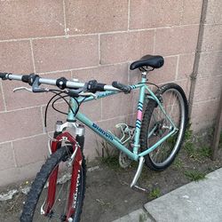 1994 Bianchi Martin Racing