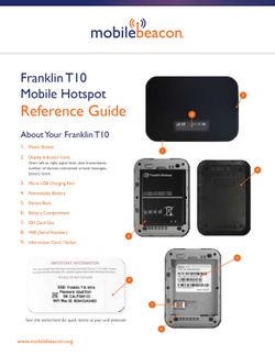 TMobile Franklin Wireless T10 256mB