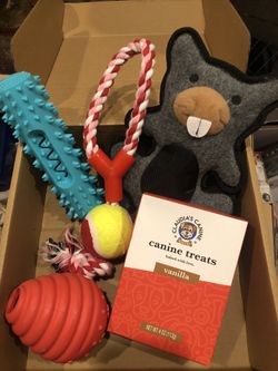 Dog Toy  Bundle 