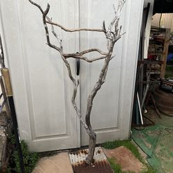 Bird perch, Jewelry Stand 