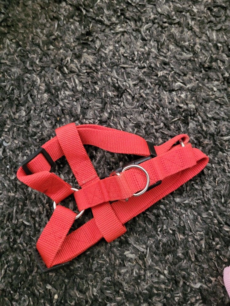 Small Dog Harness