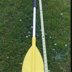 Canoe paddle 