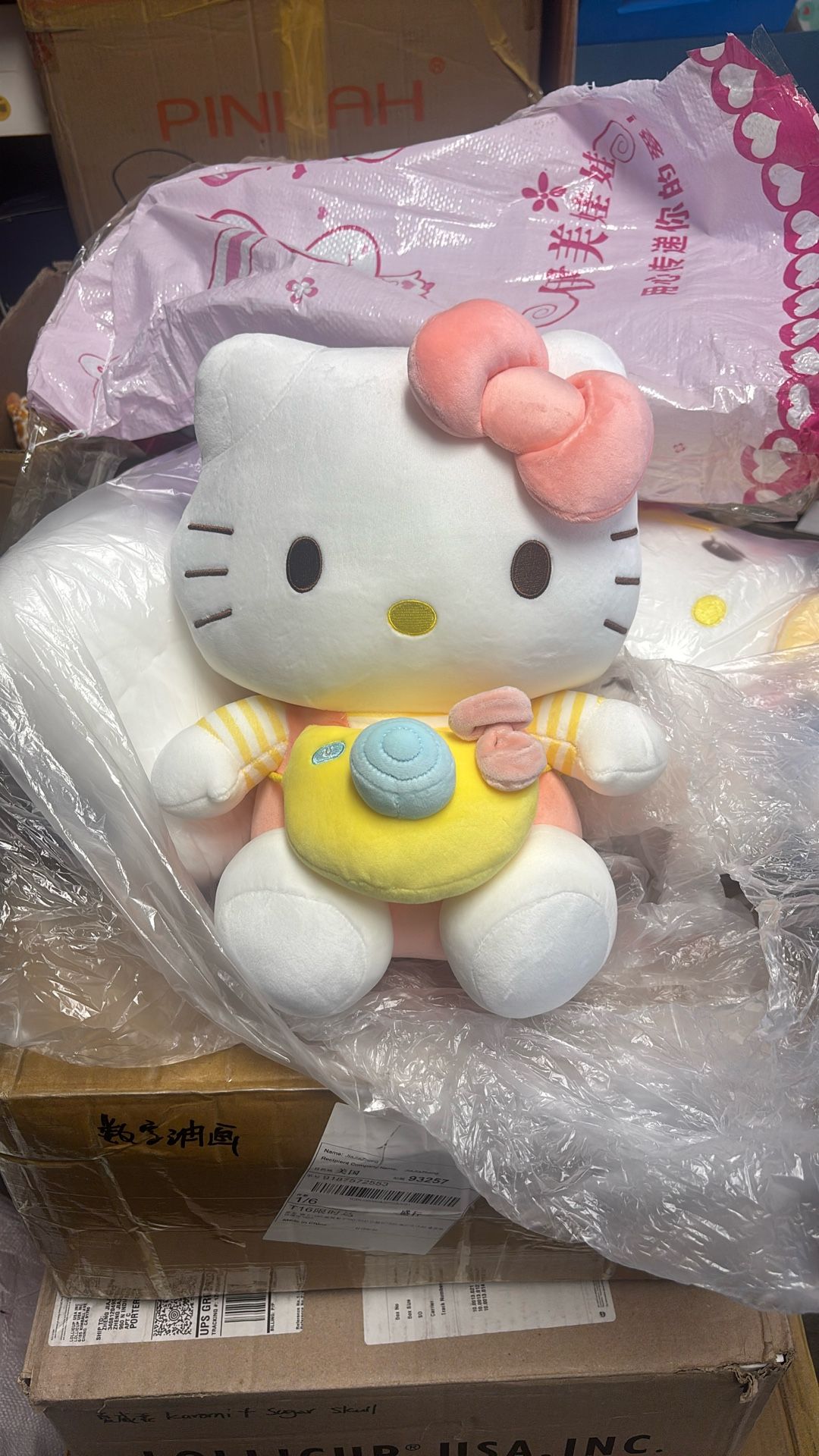 12 inches Hello Kitty