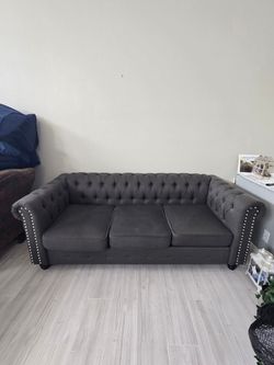 Free clean pet free sofa corona
