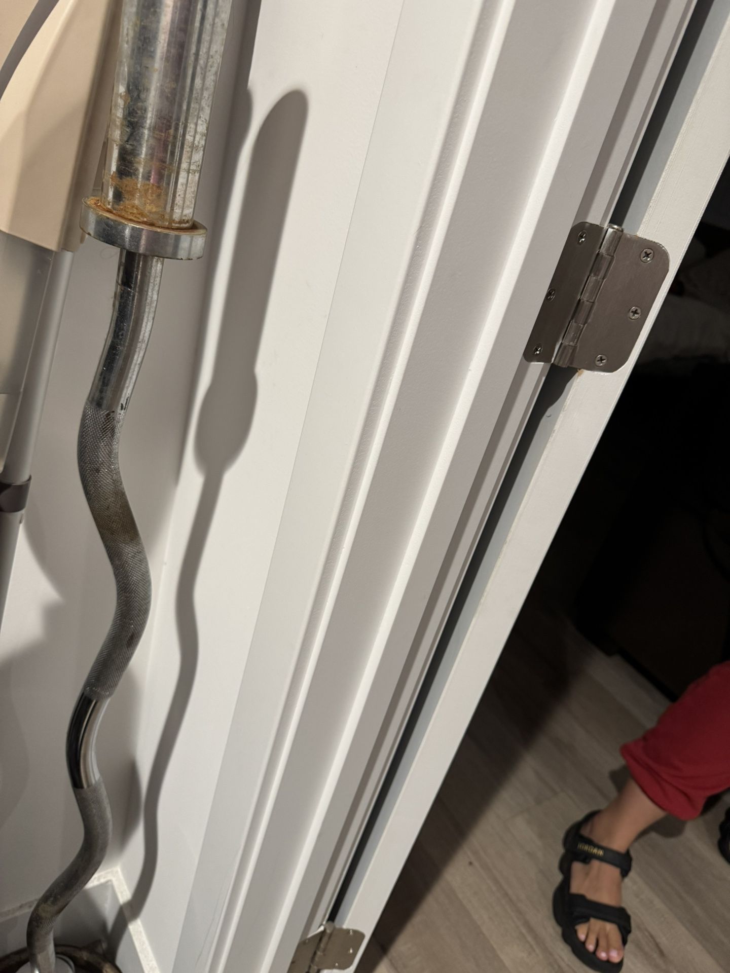 EZ Curl Bar