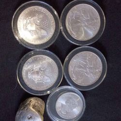 Silver Coins And Nuggets 