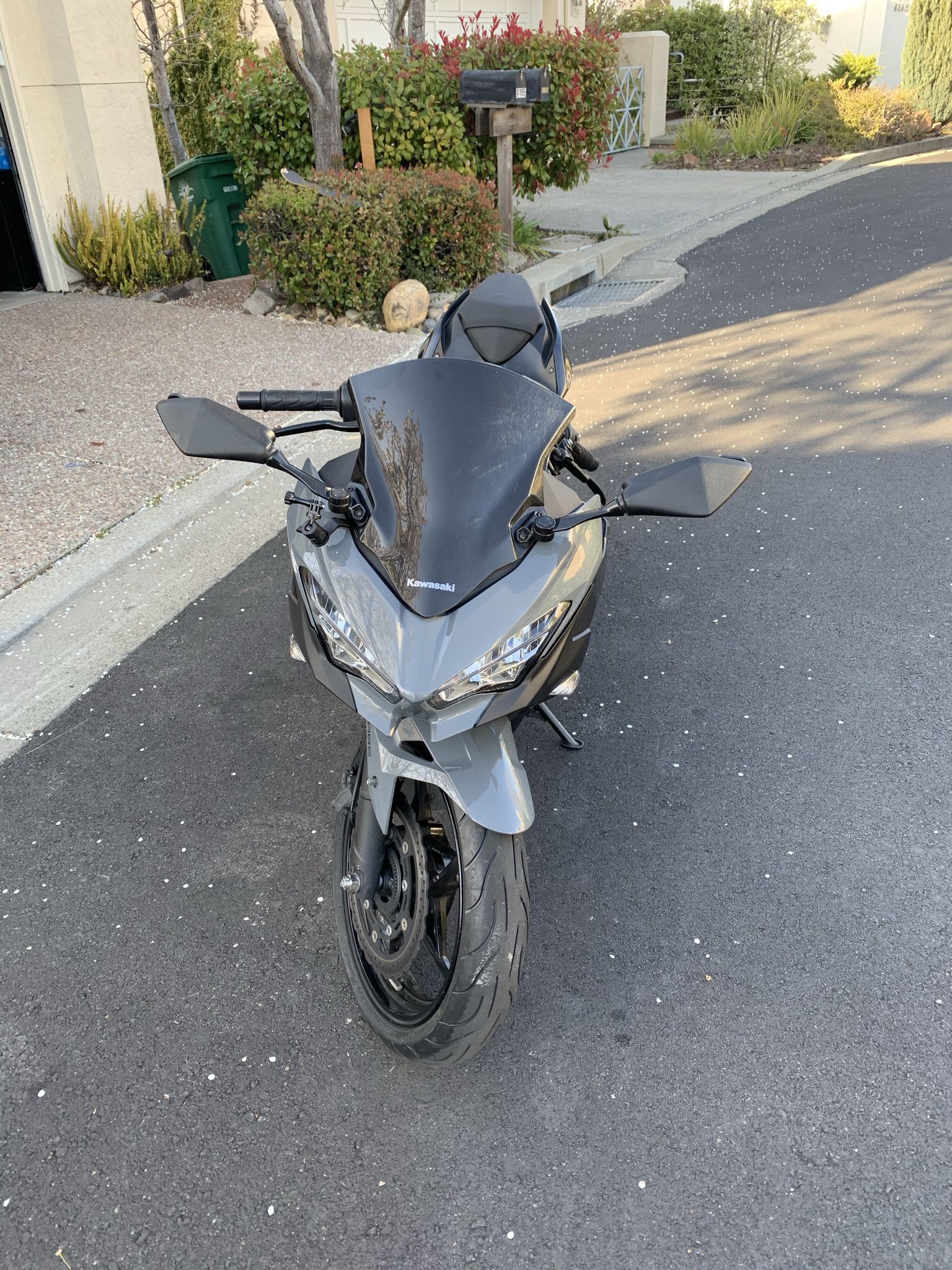 2019 Kawasaki ninja 400