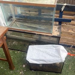 Fish Tanks There’s A 55 Gallon A 35 Gallon And A 10 Gallon Prices Are Negotiable All Of Them For 300 And All Of Them Come With Lids