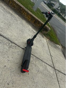 Electric scooter for adults