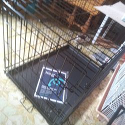 DOG + CAT   CRATE =  NEW .....