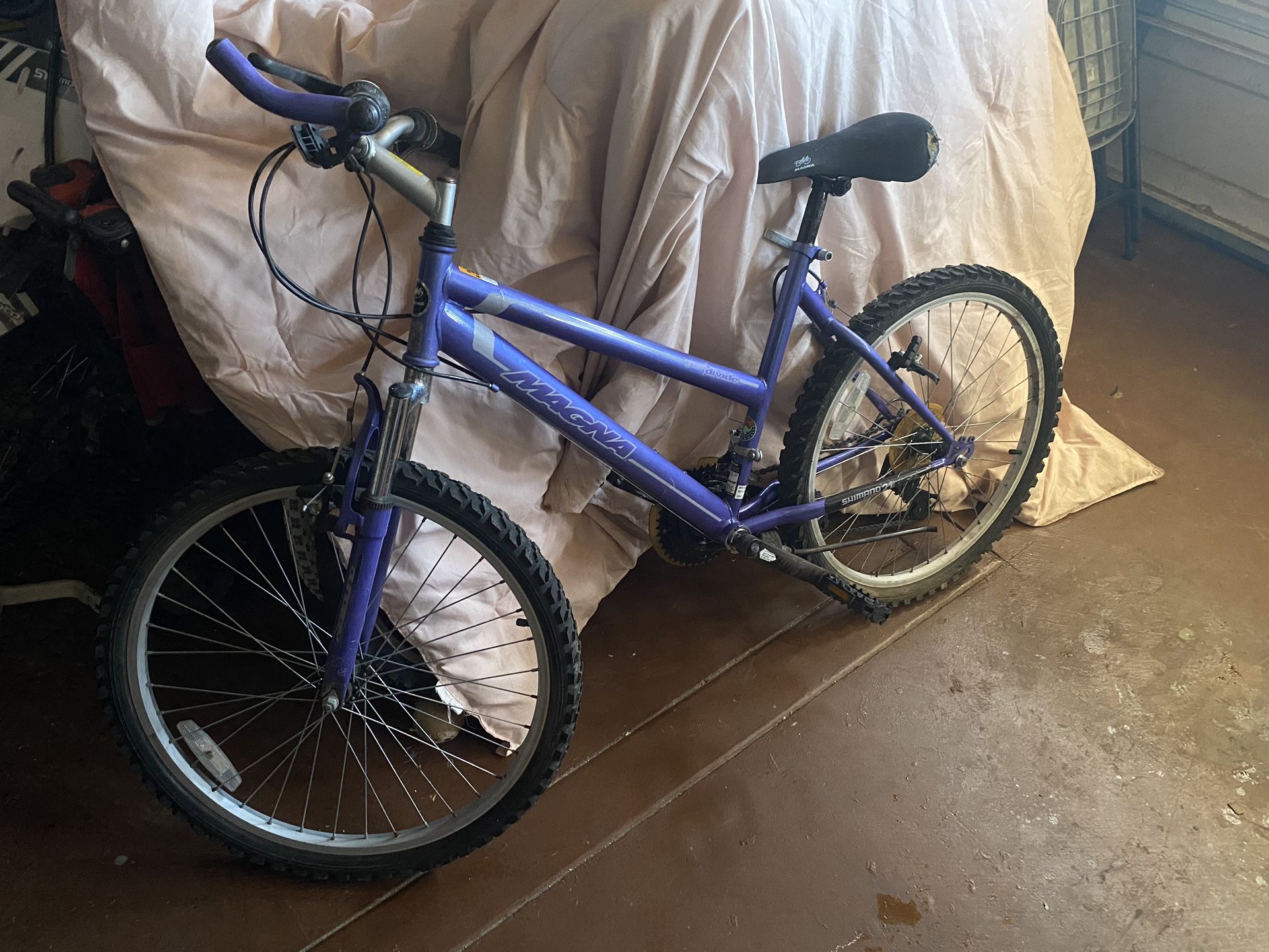 Mountain Bike
