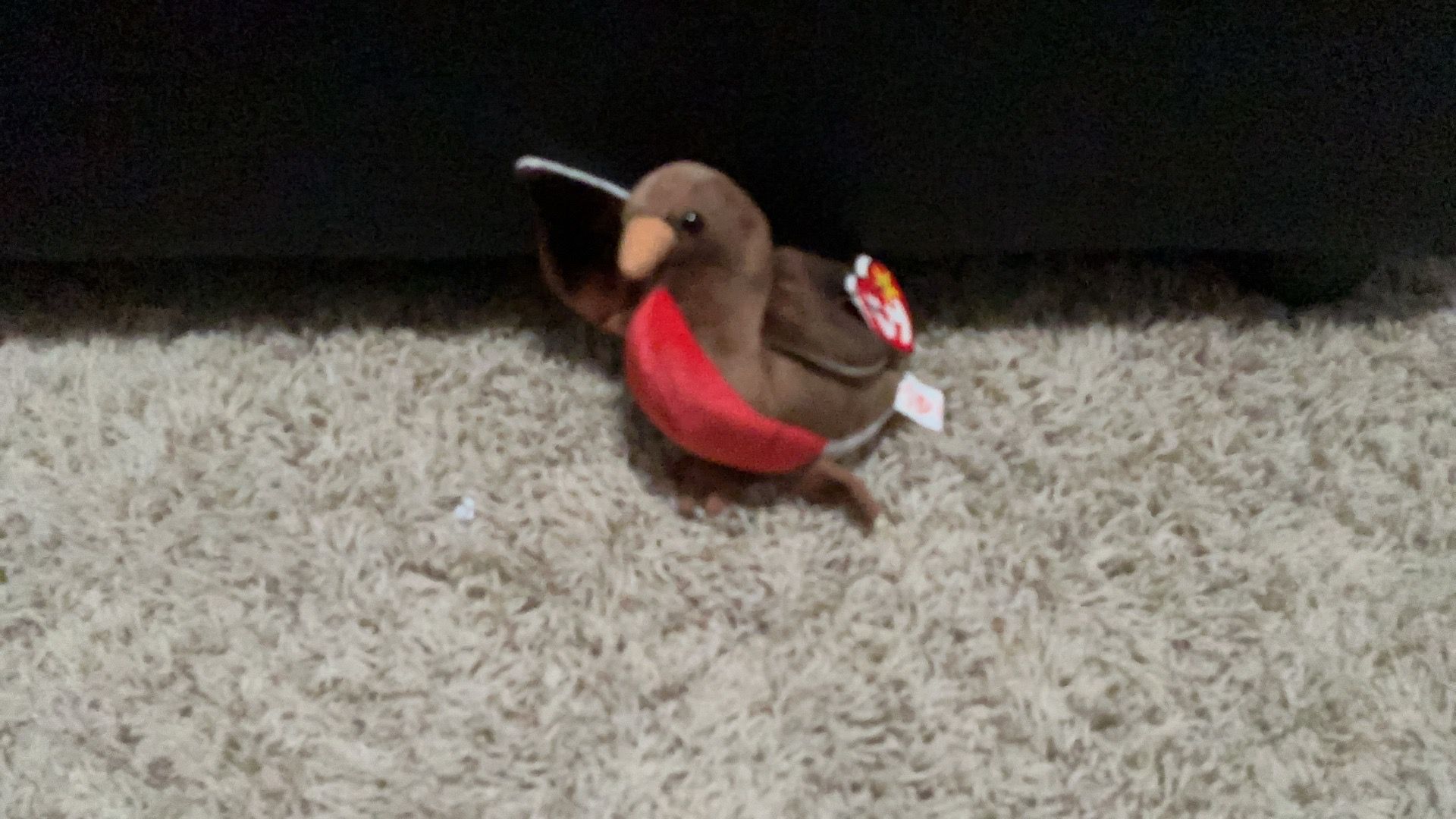 Rare collectible beanie baby