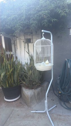 Bird cage