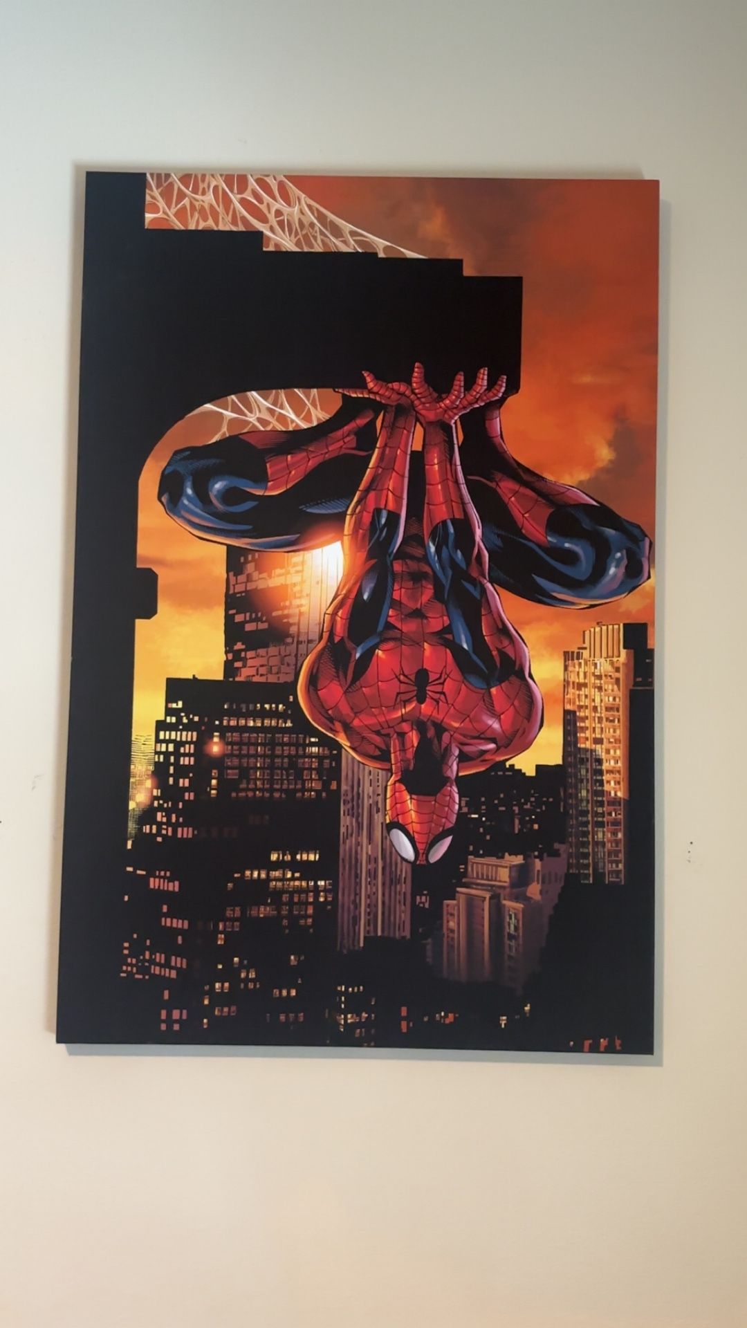 Spider Man Canvas Decor