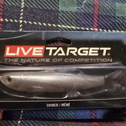 Hollow Body Shiner Lure