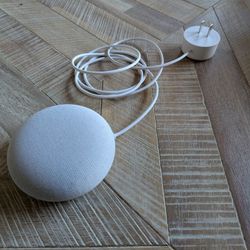 Google Home Mini Speaker
