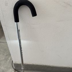 Cane