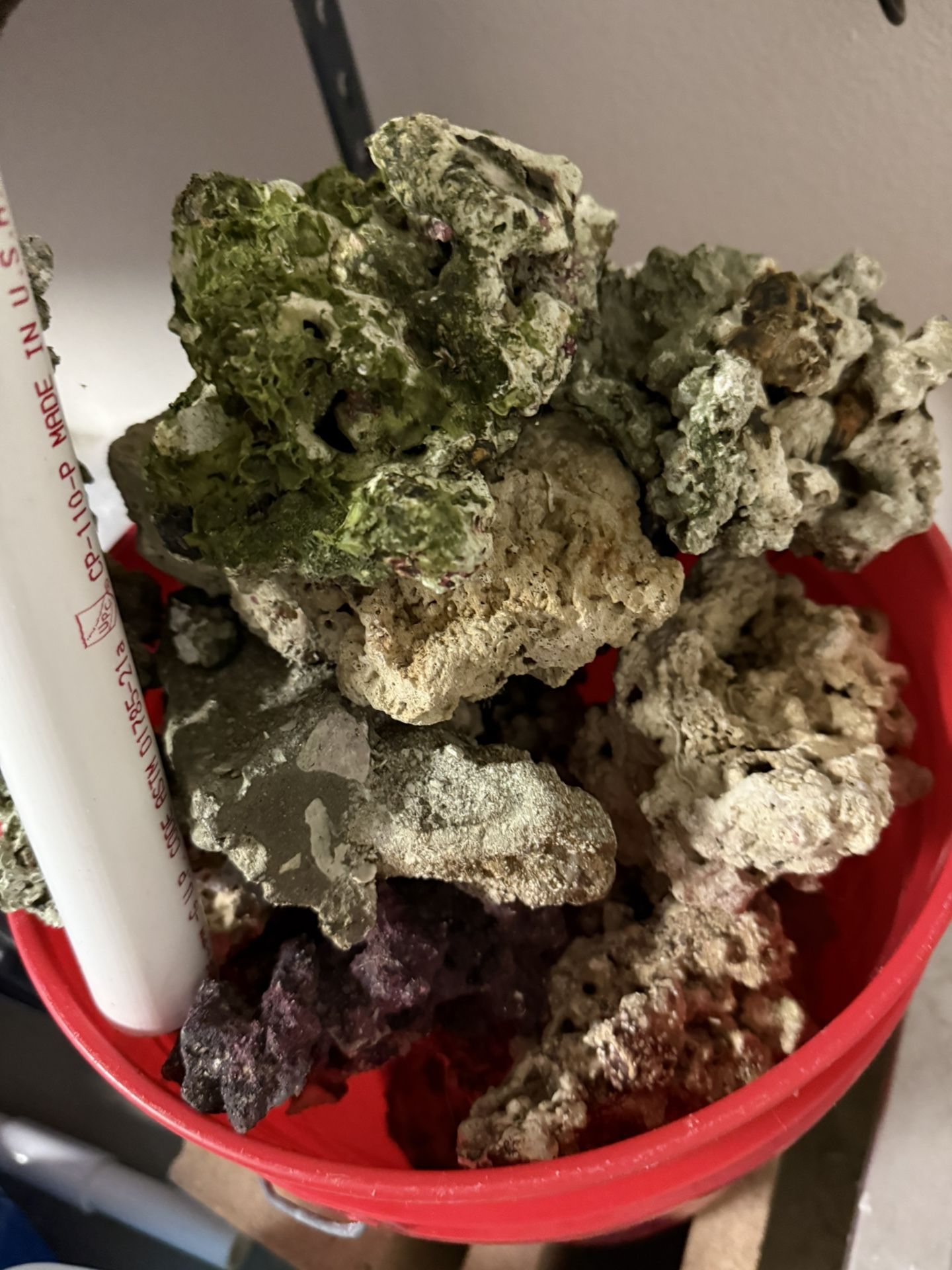 Reef Rock