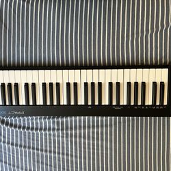 NEKTAR midi Keyboard