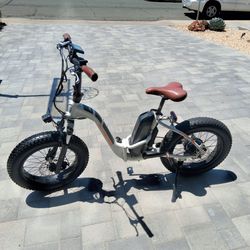 Radrunner ebike