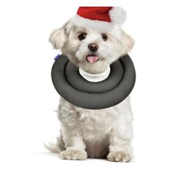 Soft Dog Cone for Recovery (S)