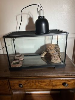 Reptile tank