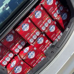 Busch Apple Light Box