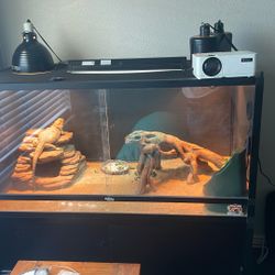 Reptile Enclosure 