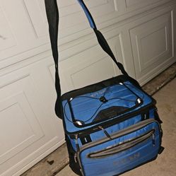 Carrying On Cooler Bag