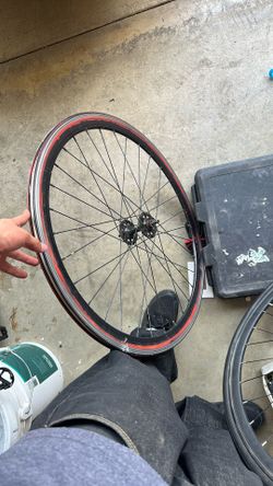 Orgin8 Rim