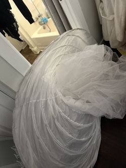 Crinoline