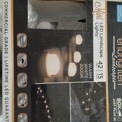 Outdoor Lights