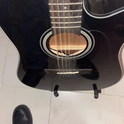 Takamine Guitar