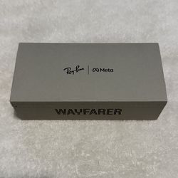 Ray Ban Meta WayFarer Glasses