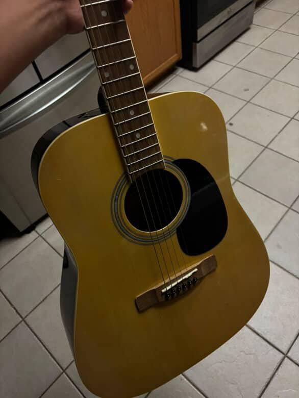 Rogue Guitar