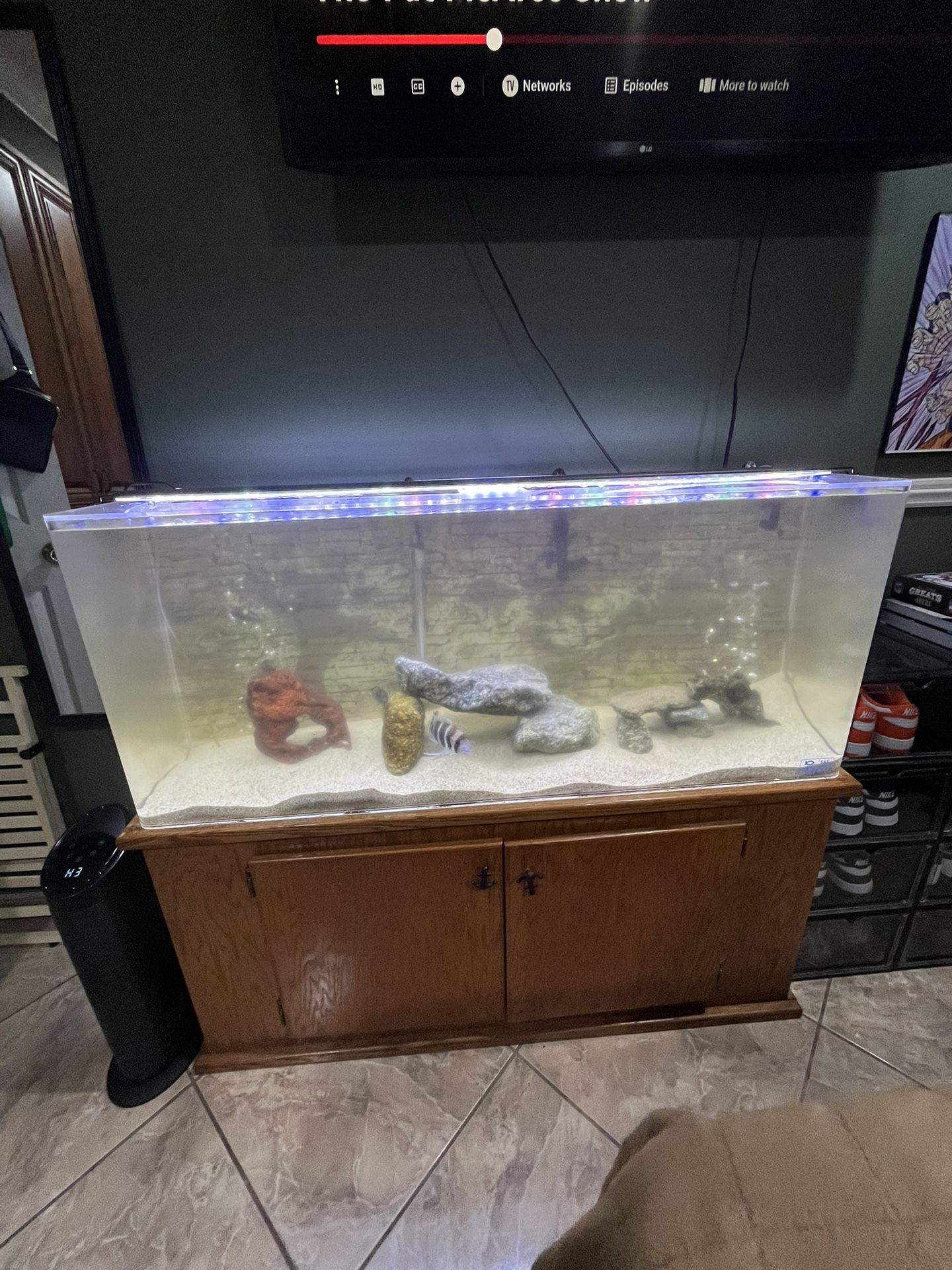 Fish Tank