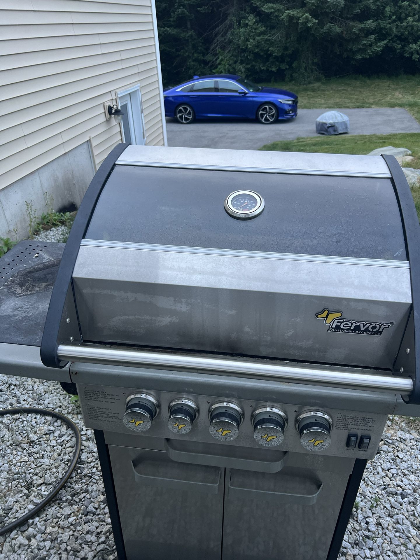 Gas grill