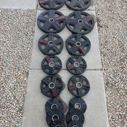 Olympic Weights (295lbs)