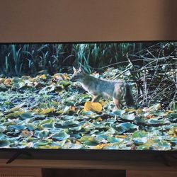 TLC 55" 4K Smart TV 