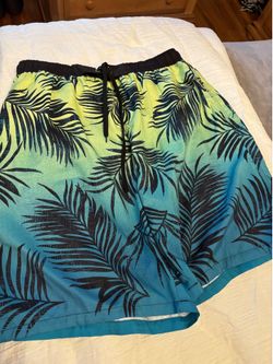 Mens Bathing Suit