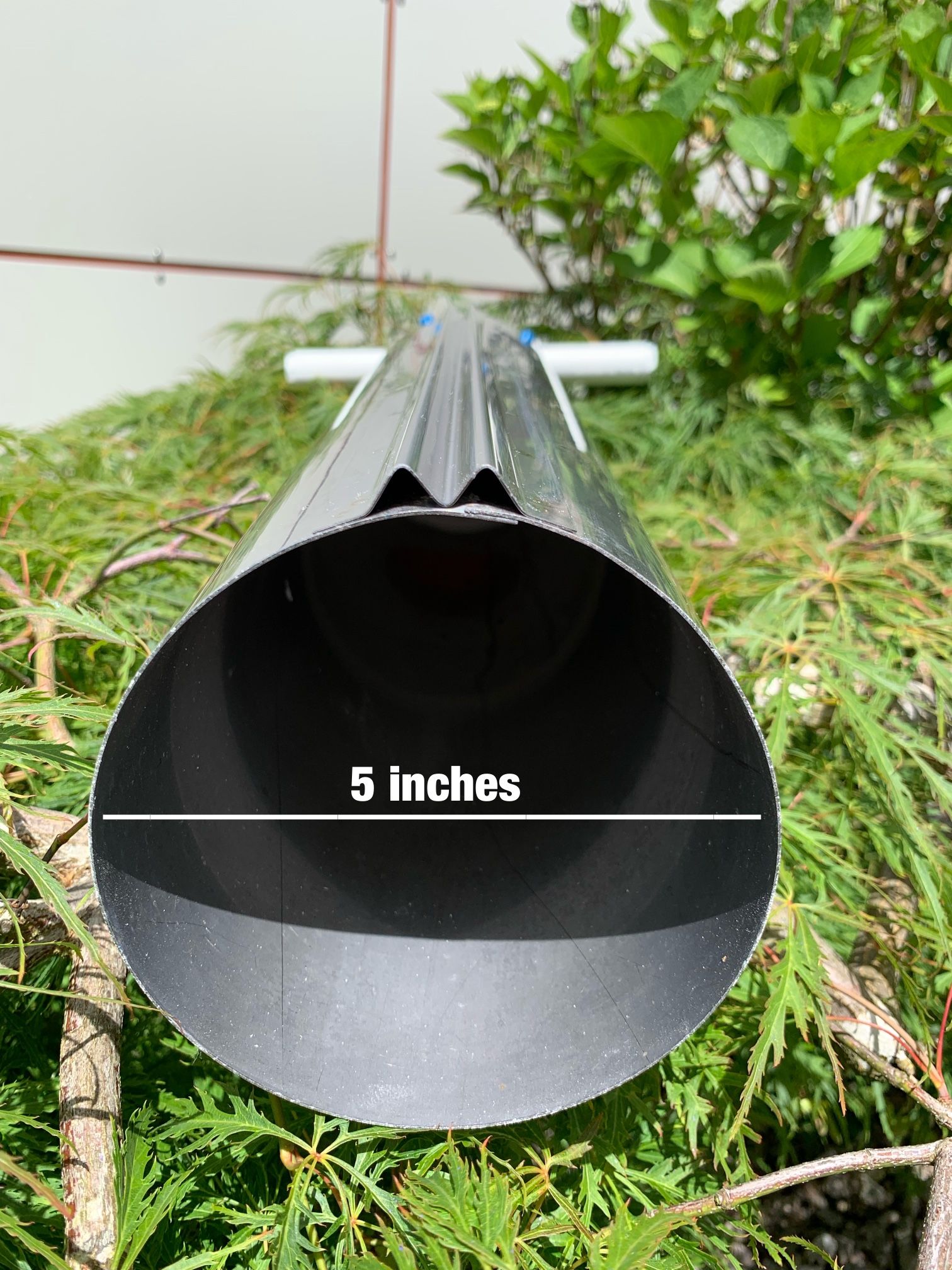 Clam Gun! for Sale in Lynnwood, WA OfferUp