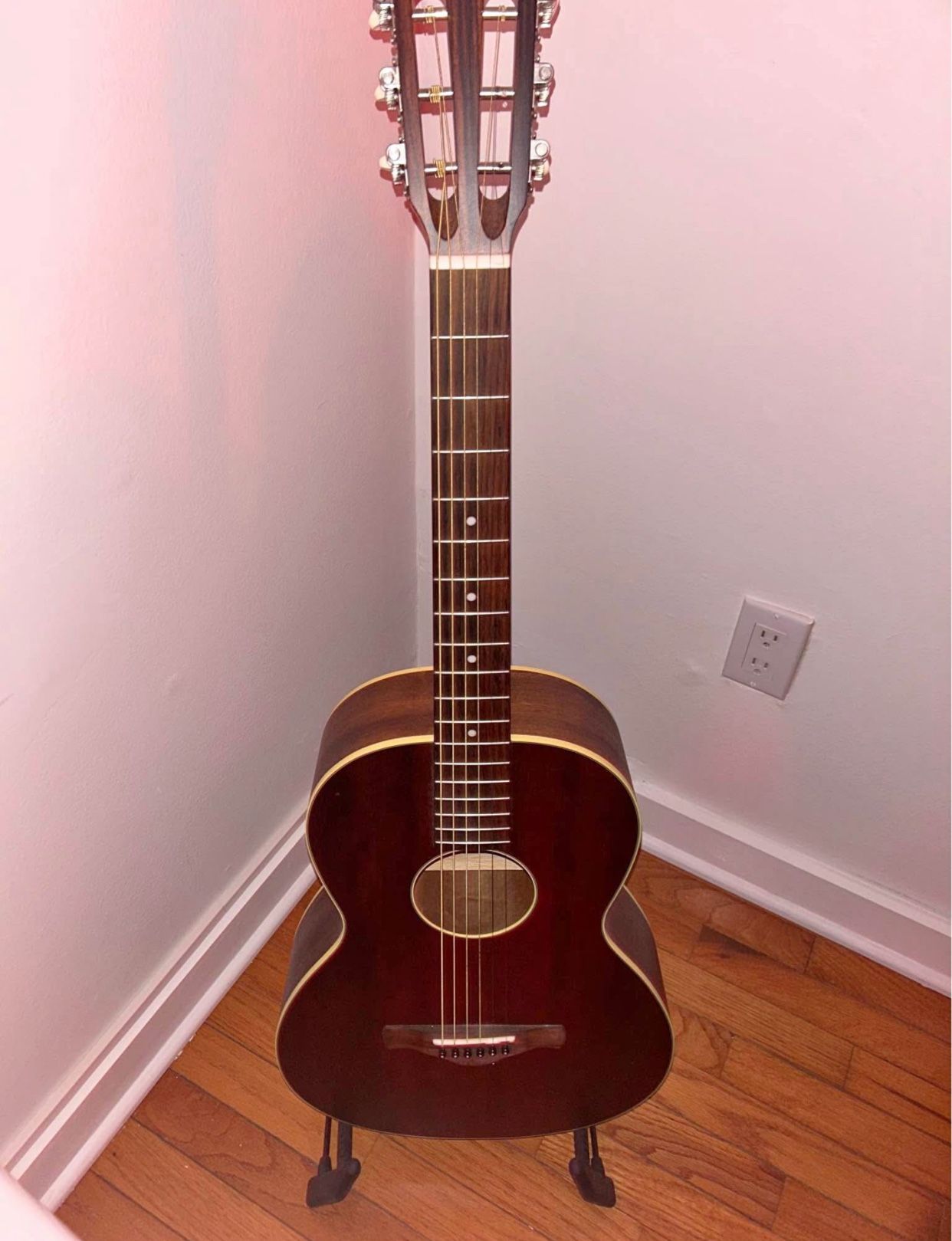 Ibanez Parlor Guitar🎸
