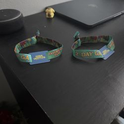 2x Beyond Wonderland 2-day GA